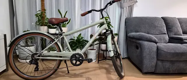 My step-through city cruiser bike — good condition
