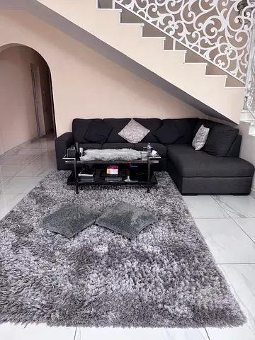 Stylish Grey Area Rug with Modern Sofa Set