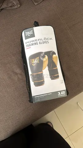 Everlast Boxing Gloves