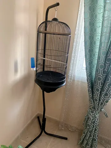 Birds cage