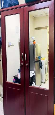 Two-door mirrored wooden wardrobe — good condition