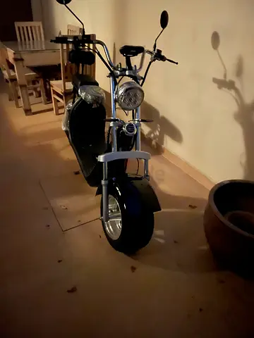 Coco Harley e-bike