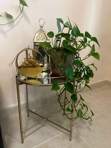 Living room decorations