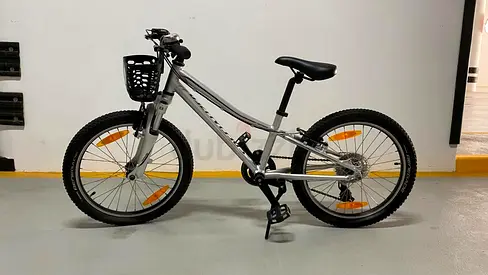 Specialized Hotrocks 20 Kids Mountain Bike