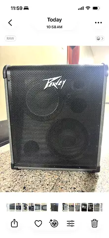 Peney Max 300 300-Watt Bass Amp Combo