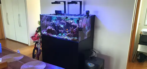 Waterbox 130.4 Reef aquarium complete (Exc. Skimmer, GHL set and Vortech pumps) - AED7000 only