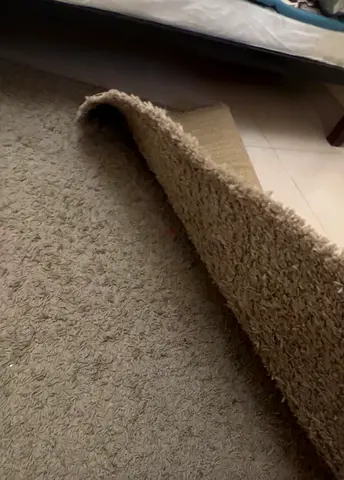 Beige rug, gently used