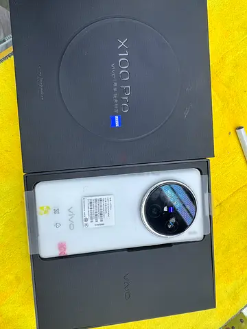 Vivo X100 Pro