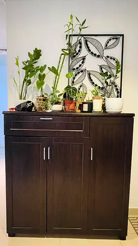 Dark wood storage cabinet (shoe cabinet) with shelves  top drawer