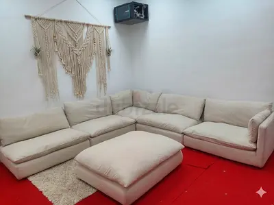 Crate and barrel premium quality feather 🪶 filled modular sofa with ottoman