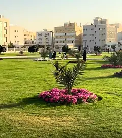 Low Price studio||For Family||In Front Of Family Park||