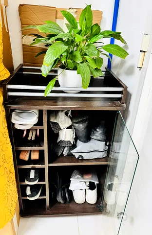 My compact dark wood shoe cabinet with glass door