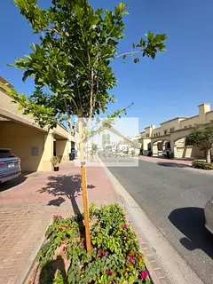 2-Bedroom plus Study Room – Spring 10 | AED 135K Yearly