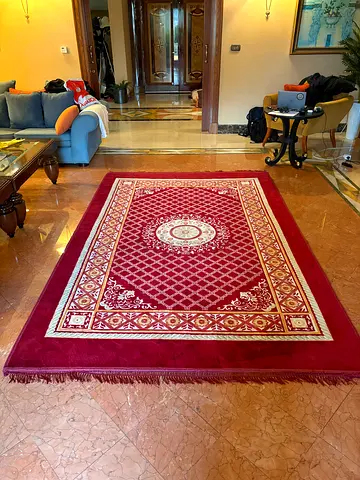 Red medallion area rug