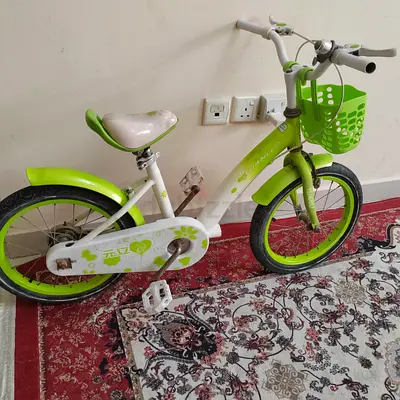 My kids 16-inch green and white bicycle with basket - used, good condition