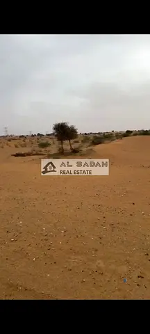 📢 Land for sale in Al Arqoub 📐 Area: 10,000 sq ft 💰 Price: AED 650,000 (final)