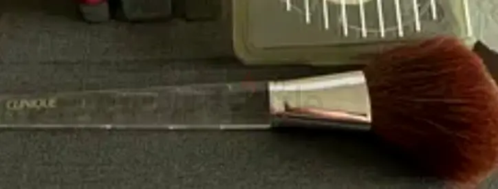 Clinique Antibacterial natural hair brush