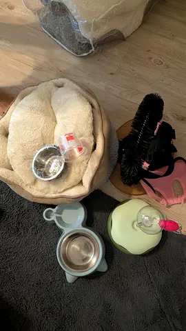 Cat accessories bundle — bed, bowls, water dispenser, harness  brush