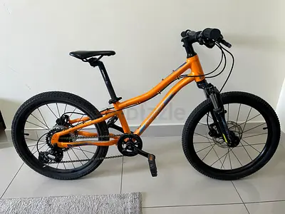 Children’s Mountain Bike (6-10 years old)
