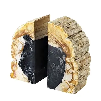 Eichholtz petrified wood bookend
