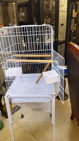 Birds cage