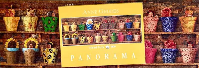 Schmidt Anne Geddes Panorama Puzzle (1000 pieces) + FREE Mindfulness Round Puzzle (500 pieces)