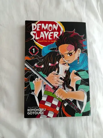 Demon slayer manga volume 1