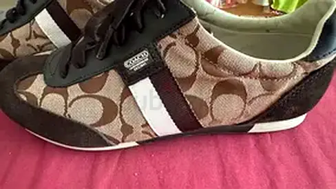 Coach brown signature canvas sneakers