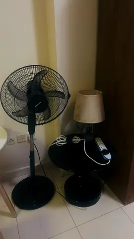 Stand Fan and Lamp Set