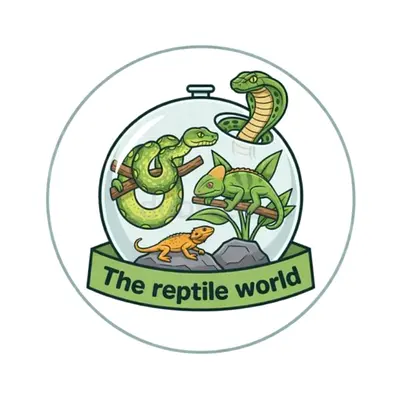 Premium Pet Supplies Online UAE | Curated Quality Accessories