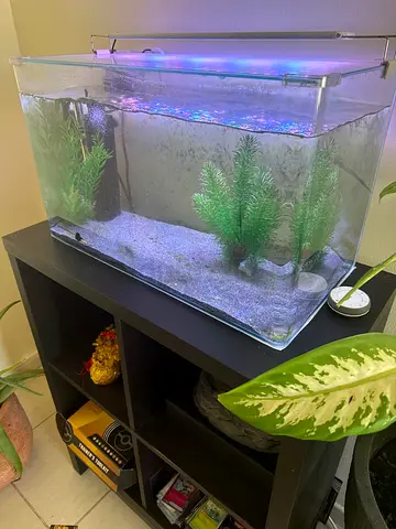 Fish Tank