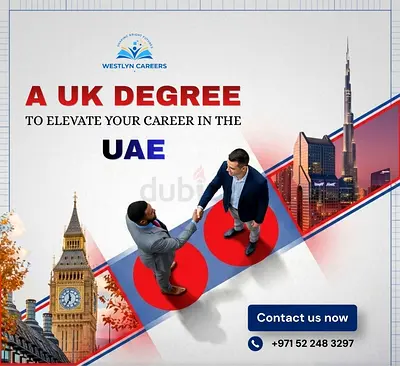Professional MBA