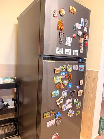 Fridge LG