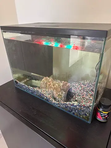 Aquarium for Sale