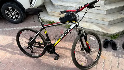 Mountain bike