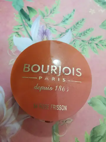 Bourjois Paris Blush - Rose Frisson