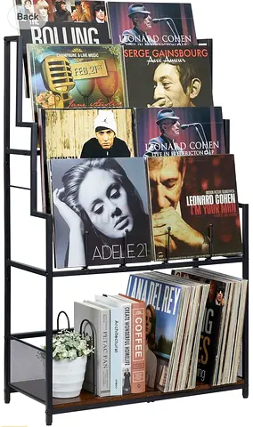 Vinyl records lovers holder