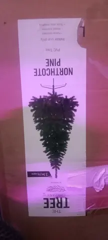 Tree 🌲