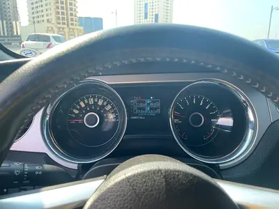 Amazing Horse at sale