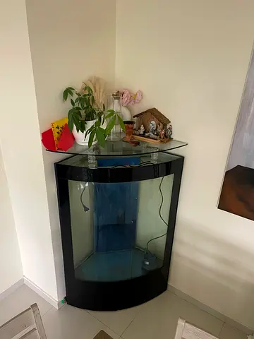 Corner Aquarium