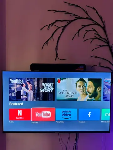 Both tv and frigidaire