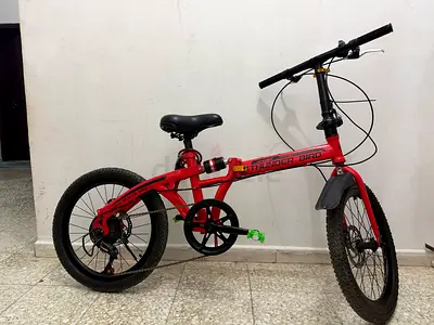 Thunder Bird 20 inch childrens bike - used, working condition