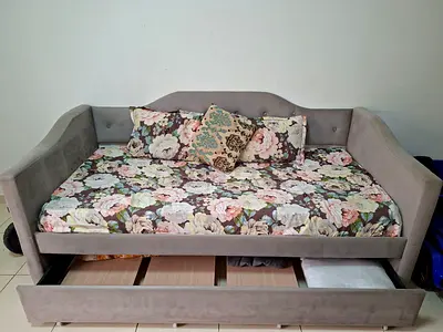 Comfortable Sofa Cum Bed/ Day bed with two Mattress