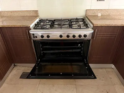 Stainless Steel Gas Range with Oven