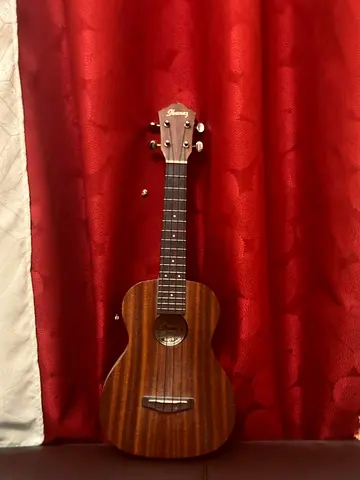 ukulele music instrument