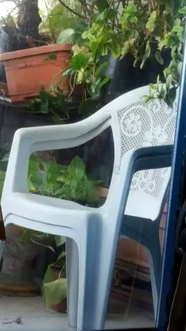White Plastic Chair for Sale