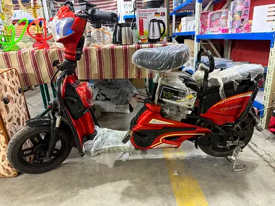 WIND HORSE ELECTION BIKE