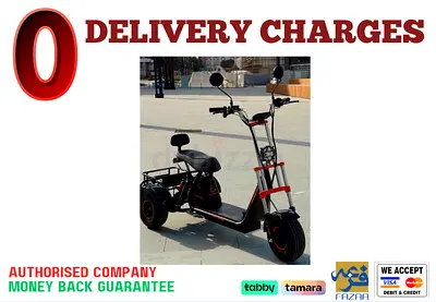 Kugoo  Electric Scooter - C4