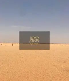 Industrial Land for Sale in Umm Al Thuoob, Umm Al Quwain, Freehold for Expats, 43,000 Sq Ft, Prime I