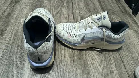 Nike winflo 11 shoes